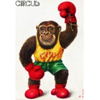 cirque