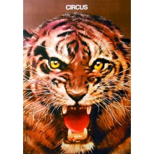 tiger